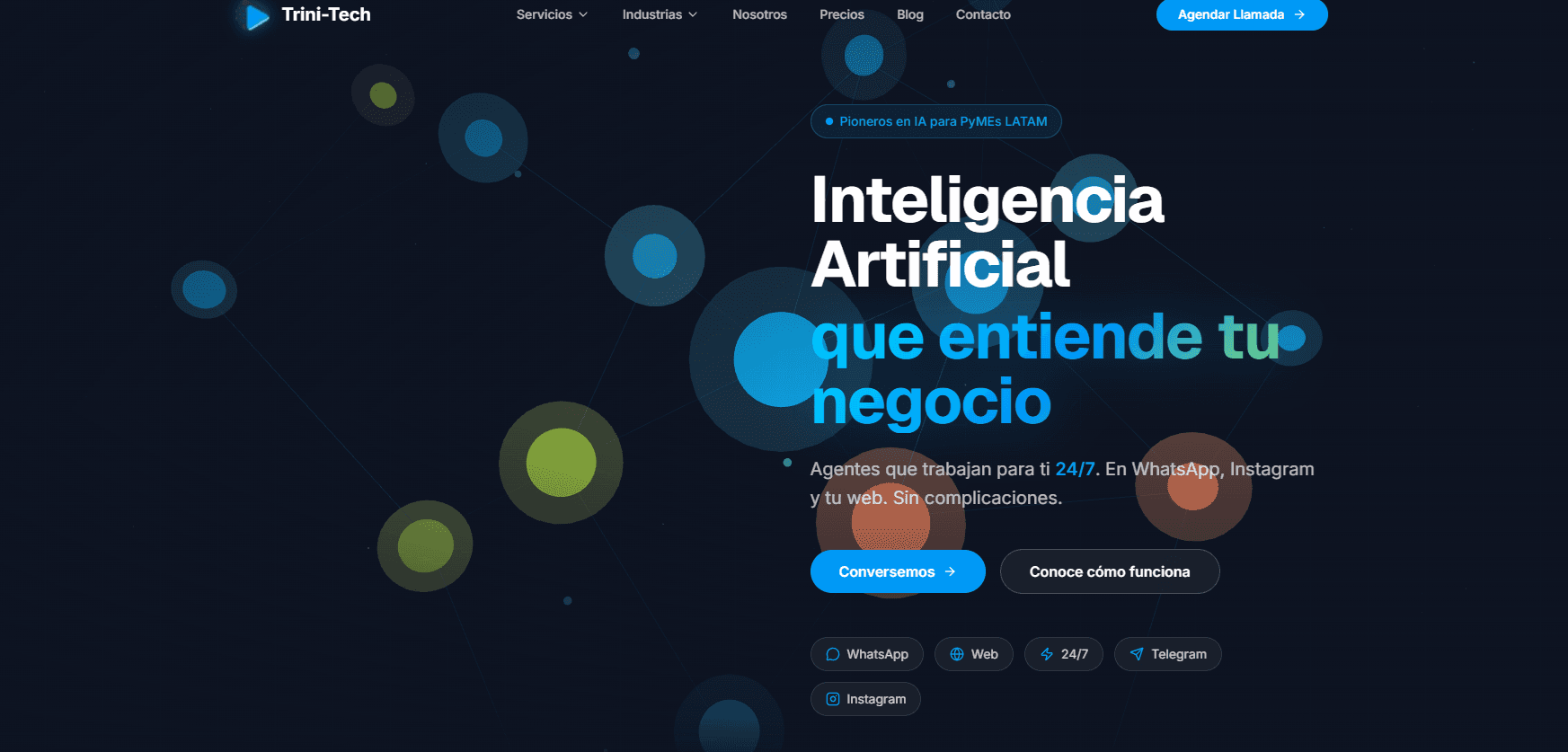 Vista previa del proyecto Trini-Tech SpA - Servicios Digitales